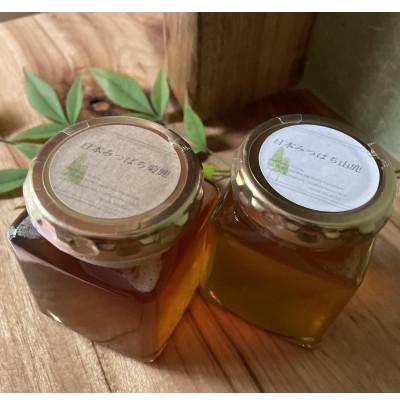 ふるさと納税 山鹿市 [熊本県北山麓]日本みつばち菊鹿・日本みつばち山鹿2本セット