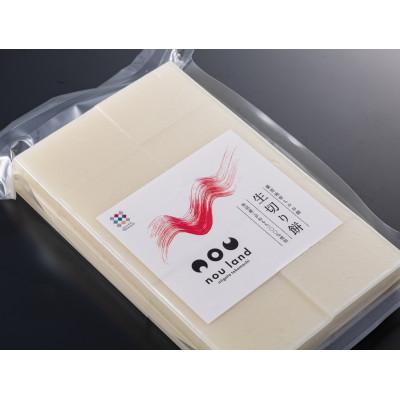 ふるさと納税 十日町市 魚沼産コガネモチ使用 生切り餅1kg(20切れ)×2個