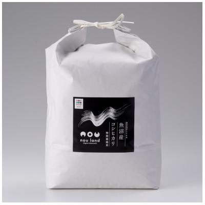 ふるさと納税 十日町市 [令和7年産] 魚沼産コシヒカリ特別栽培米5kg