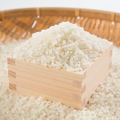 ふるさと納税 富良野市 令和8年 富良野産ゆめぴりか 米 5kg×2袋(合計