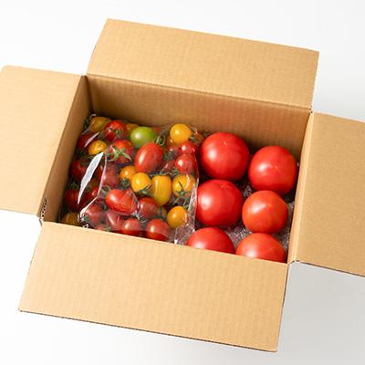 ふるさと納税 富良野市 【2026年発送】王様トマト麗夏3kg&多品種ミニトマト1kg食べ比べセット |  | 01
