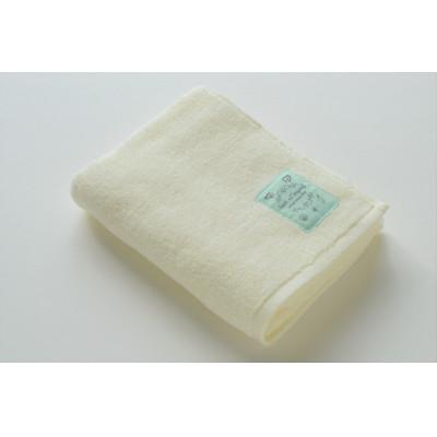 ふるさと納税 今治市 ( 今治タオル ) Sea series フェイスタオル [IA05360]