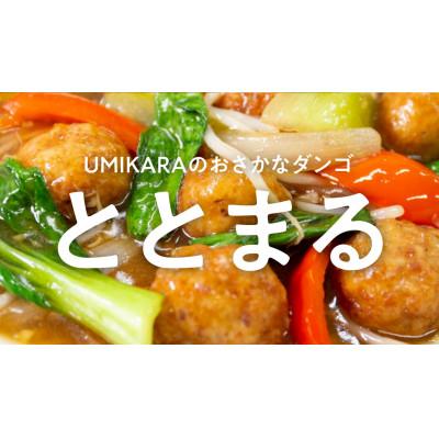 ふるさと納税 高浜町 あじ桜干し さわら西京漬け など 美味しい海の幸 4品 お手軽セット(簡単\u0026お手軽セット)の画像