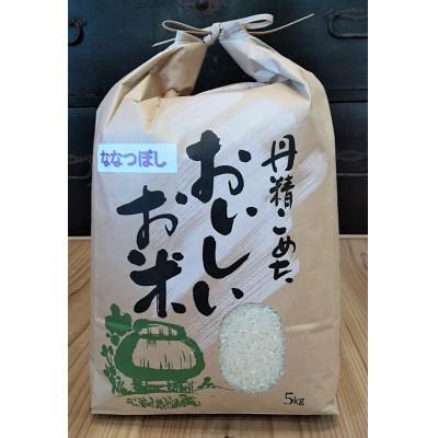 ふるさと納税 蘭越町 令和6年産 らんこし米 金子農場のななつぼし 5kg