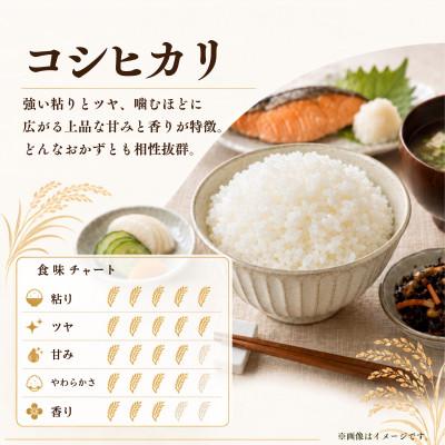 ふるさと納税 かすみがうら市 令和8年産 新米 コシヒカリ 精米 10kg