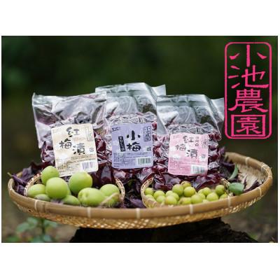 ふるさと納税 鹿島市 小梅の紅梅漬・小梅の天然しそ漬・紅梅漬3種類セット