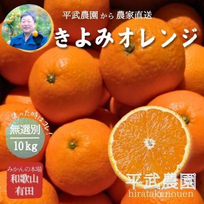 ふるさと納税 有田川町 きよみオレンジ 無選別10kg ≪秀品・訳あり品・サイズ混合≫和歌山県有田の町の平武農園から農家直送