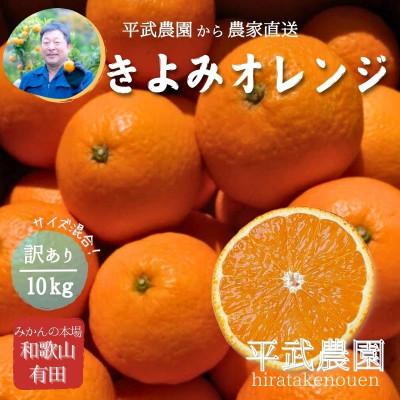 ふるさと納税 有田川町 きよみオレンジ 訳あり10kg ≪サイズ混合≫ 和歌山県有田の町の平武農園から農家直送