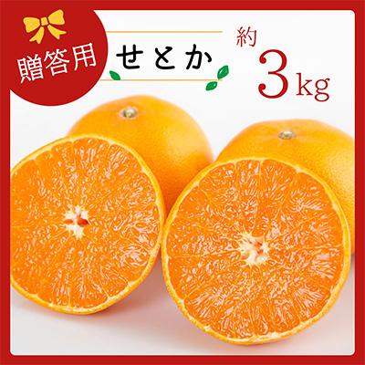 ふるさと納税 八幡浜市 コウ果樹園の「柑橘の大トロ せとか約3kg」[C33-1]