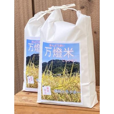 ふるさと納税 西尾市 [令和7年産]&lt;万燈米&gt;[こしひかり 4.5kg×2袋 ]・I027-25