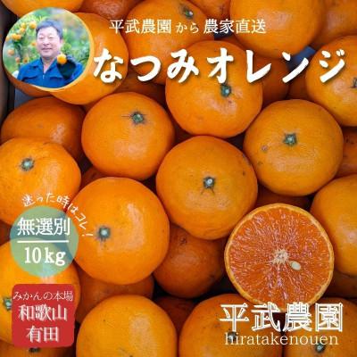 ふるさと納税 有田川町 なつみオレンジ 無選別10kg ≪秀品・訳あり品・サイズ混合≫和歌山県有田の町の平武農園から農家直送