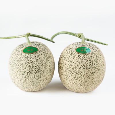 メロン様 今年もお届けします！Mama's Harvest 富良野山部メロン超特大