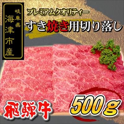 ふるさと納税 海津市 海津市産 [飛騨牛]すき焼き用 切り落し 500g