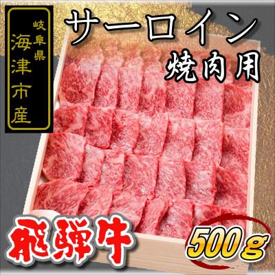 ふるさと納税 海津市 岐阜県海津市産[飛騨牛]サーロイン 焼き肉用500g