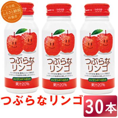ふるさと納税 杵築市 つぶらなリンゴ 190g×30本