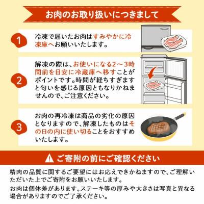 ふるさと納税 志布志市 鹿児島県産若鶏ささみ　2.5kg(250g×10P) |  | 03
