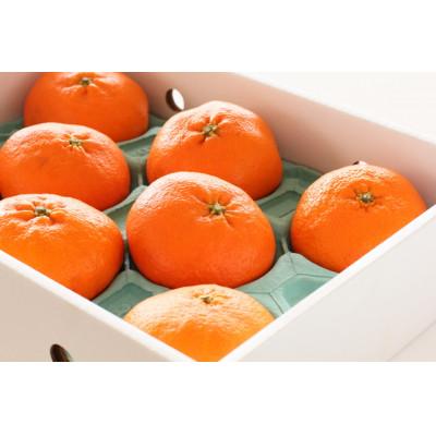 ふるさと納税 八幡浜市 柑橘の鬼たちがつくる八幡浜産・甘平(2.7kg〜3.0kg)[贈答用][E56-22]