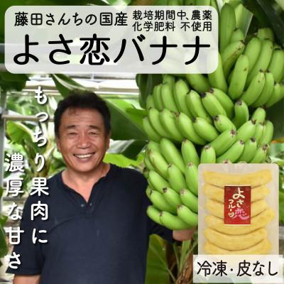 ふるさと納税 須崎市 藤田さんちの国産バナナ(冷凍真空パック800g)栽培期間中、農薬化学肥料不使用