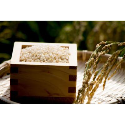 ふるさと納税 竜王町 令和7年産 コシヒカリ玄米 30kg : Yahoo!ふるさと