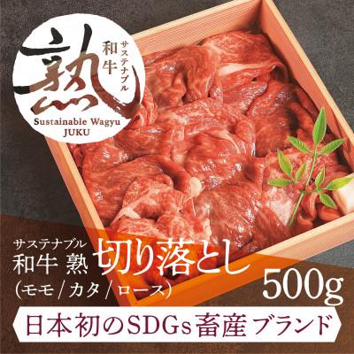 ふるさと納税 雲南市 [サステナブル和牛 熟]切り落とし(モモ/カタ/ロース)500g
