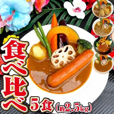 ふるさと納税 筑後市 [食べ比べ]スープカレー食べ比べ5食セット(5〜10人前)ジャングルスープカレー