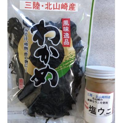 ふるさと納税 田野畑村 三陸 田野畑村北山崎産 塩ウニ&amp;塩蔵わかめのセット