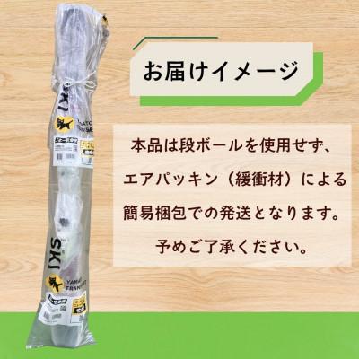 ふるさと納税 飯山市 【限定モデル】大人スキー板 TEDSUN TI 165cm