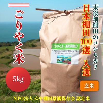 ふるさと納税 長門市 こしひかり「ごりやく米」玄米5kg[令和7年産] (1150)