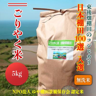 ふるさと納税 長門市 こしひかり「ごりやく米」無洗米5kg[令和7年産](1030)