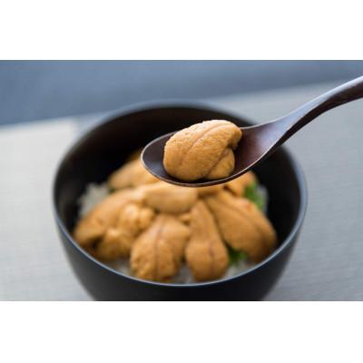 ふるさと納税 釜石市 &lt; 5月初旬から7月末頃期間限定 お届け便&gt;生うに