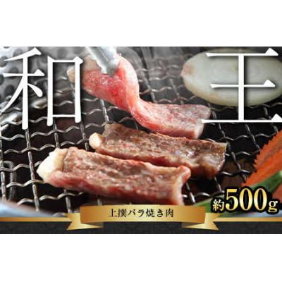 ふるさと納税 山鹿市 熊本和王 厳選バラ焼き肉 500g