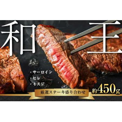 ふるさと納税 山鹿市 熊本和王 厳選ステーキ盛り合わせ 450g