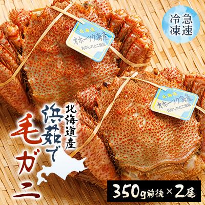ふるさと納税 斜里町 北海道産 浜茹で毛ガニ 350g前後×2尾