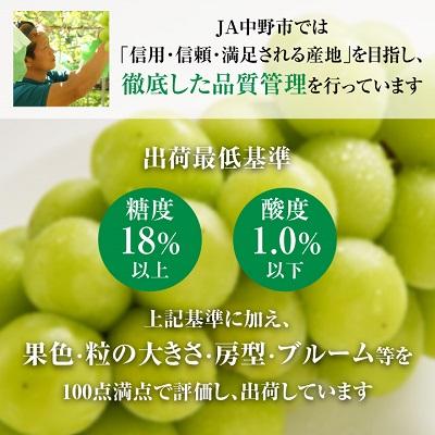 ふるさと納税 中野市 【2026年発送】シャインマスカット2房1kg以上 JA