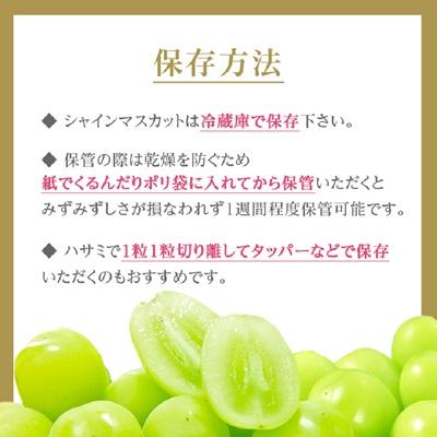 ふるさと納税 中野市 【2026年発送】シャインマスカット2房1kg以上　JA中野市から直送 |  | 03