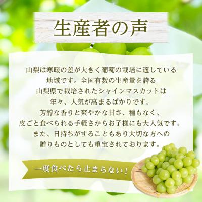 ふるさと納税 山梨市 2026年発送 山梨県産 シャインマスカット 約1kg(2〜3房) 山梨が誇る人気果物 熟練農家厳選 |  | 02