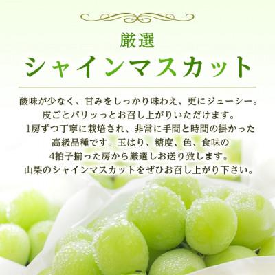 ふるさと納税 山梨市 2026年発送 山梨県産 シャインマスカット 約1kg(2〜3房) 山梨が誇る人気果物 熟練農家厳選 |  | 03