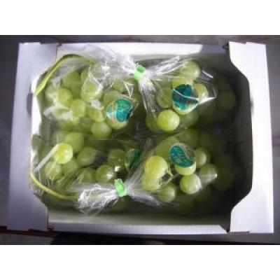 ふるさと納税 岡山市 2026年9月上旬以降発送 瀬戸ジャイアンツ2キロ