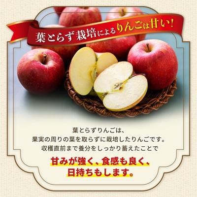 ふるさと納税 青森市 青森市産りんご「葉取らずサンふじ」約5kg(家庭用) |  | 01