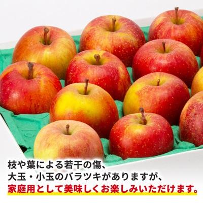 ふるさと納税 青森市 青森市産りんご「葉取らずサンふじ」約5kg(家庭用) |  | 02