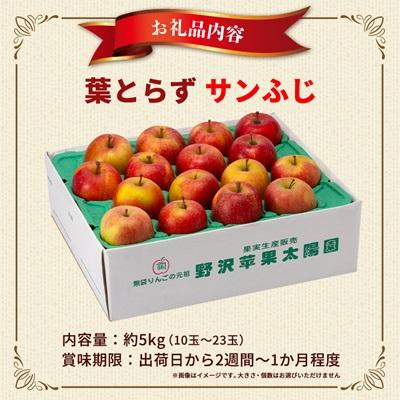 ふるさと納税 青森市 青森市産りんご「葉取らずサンふじ」約5kg(家庭用) |  | 03