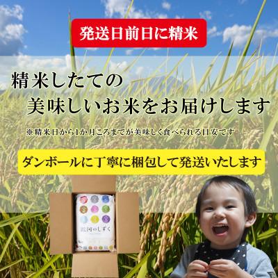 ふるさと納税 盛岡市 令和7年産 銀河のしずく 無洗米 お米マイスター推奨 盛岡市産 20kg_3