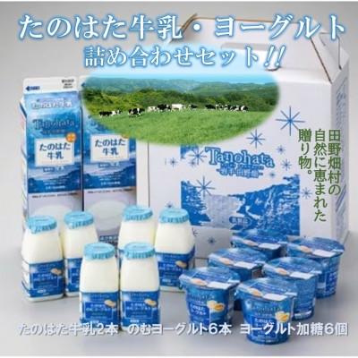 ふるさと納税 田野畑村 〜岩手県田野畑産の生乳を100%使用〜　たのはた牛乳・ヨーグルトセット( TK-3) | 