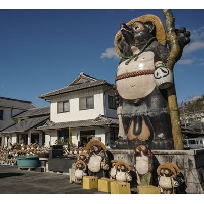 ふるさと納税 甲賀市 甲賀市 信楽焼 うずら千段傘立 (A051-01)の画像
