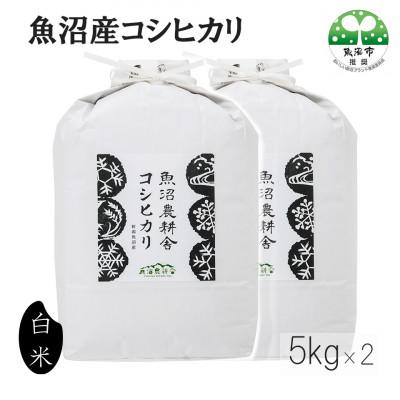 ふるさと納税 魚沼市 令和7年産米農家自慢の 魚沼産 コシヒカリ(精米)10kg(5kg×2袋)