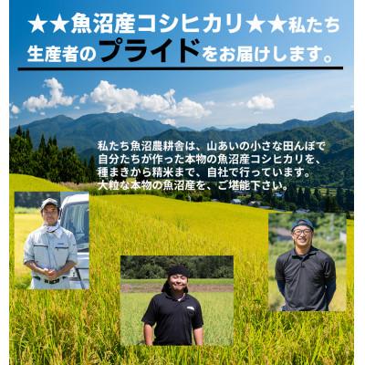ふるさと納税 魚沼市 令和7年産米農家自慢の 特別栽培米 魚沼産 コシヒカリ(精米)10kg(5kg×2袋)_3