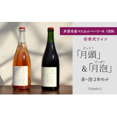 ふるさと納税 井原市 田舎式ワイン「月頭」&amp;「月泡」 2本セット