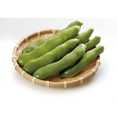 ふるさと納税 琴平町 そらまめ 約2kg