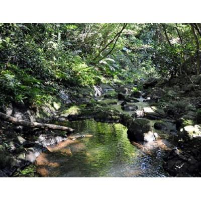 ふるさと納税 久米島町 ラムサール条約登録湿地ガイド