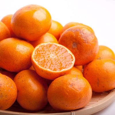ふるさと納税 上富田町 家庭用 小粒●有田みかん5kg+250g(傷み補償分)[訳あり][光センサー選果]